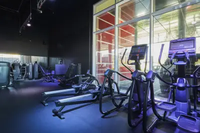 Vibes Health & Fitness