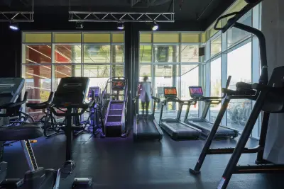 Vibes Health & Fitness