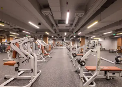 Next Level Fitness Zaimov