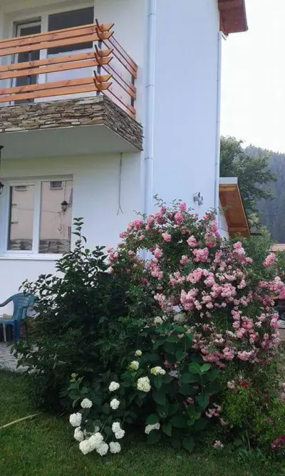 Атанасовата къща (Atanasovata house)