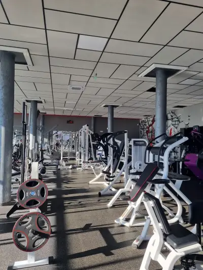 Steel Gym