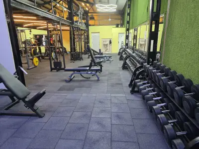 GO GO GYM