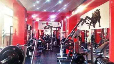 Фитнес Power Sport