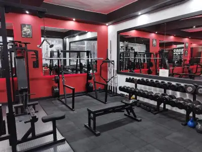 FITNESS M-Gym