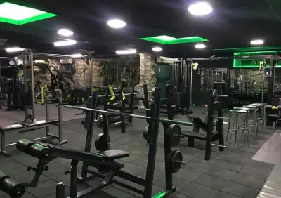 Evolution Gym