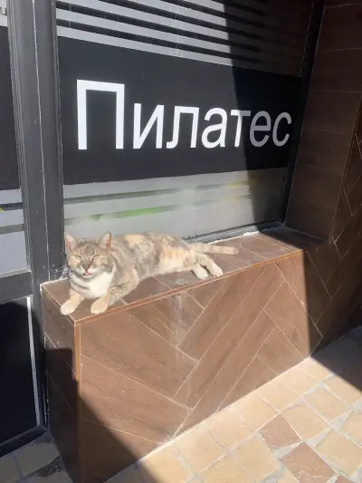 Йога студио ОК