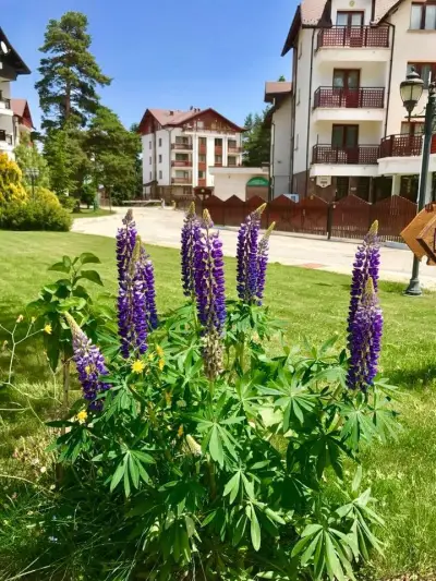 Semiramida Gardens Apartments