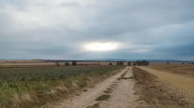 Бензиностанция Ал и Ко