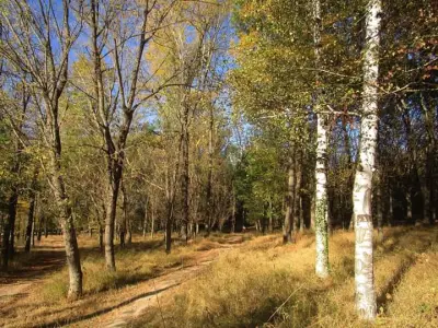 Петрол Омуртаг