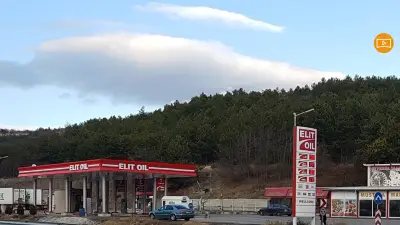 ELIT OIL