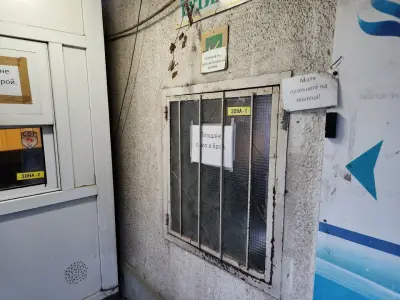 Бояна