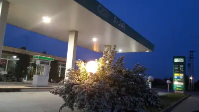 Озон
