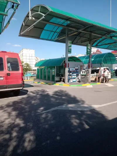 Алекс 333