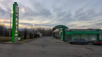 Алекс 333