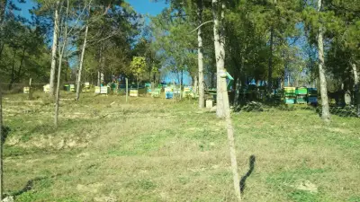 Бензиностанция Краси Ойл ООД