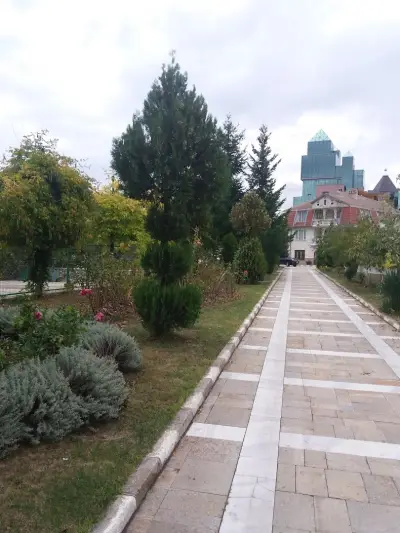 Петрол Неделино
