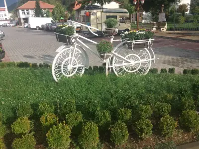 Петрол Неделино
