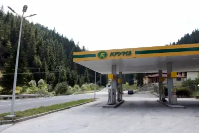 КРУИЗ Чепеларе