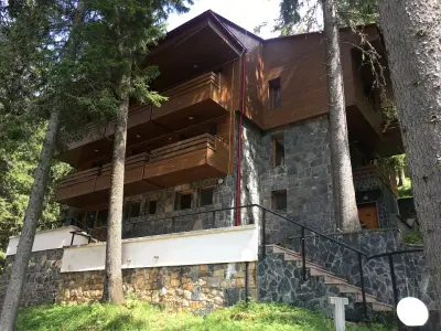 Петрол Пампорово