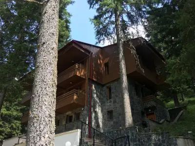 Петрол Пампорово