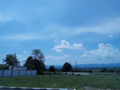 "НЕСИ - ОЙЛ" ООД