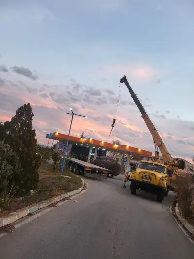 DS Oil Тулово
