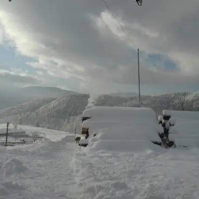 Петрол Батак