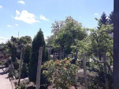 Петрол