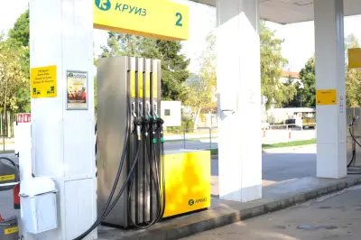 Круиз Правец