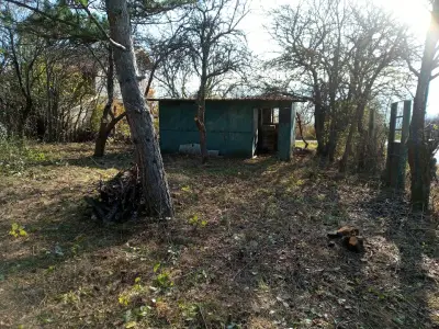 Петрол Годеч