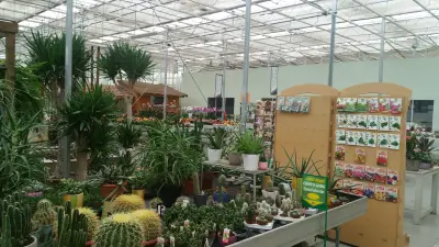 Флора ЕООД