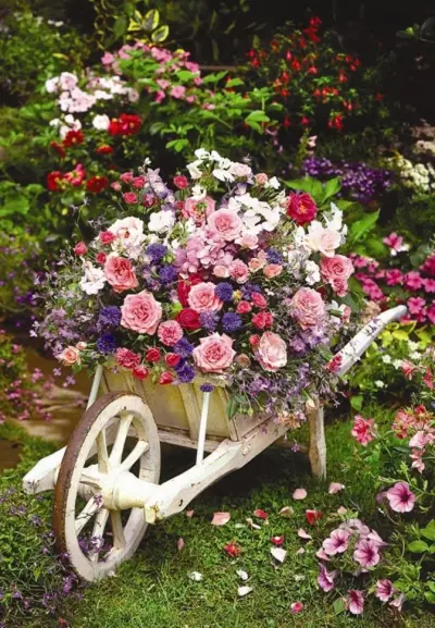 Цветарница Wild Roses
