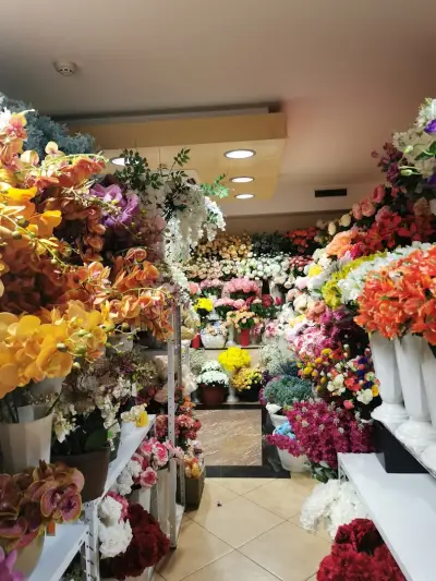 Флора комерс