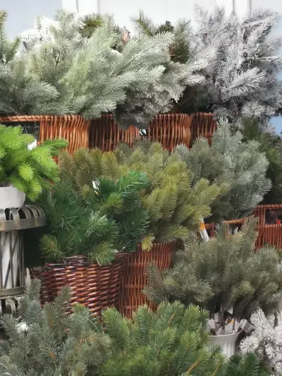 Флора комерс