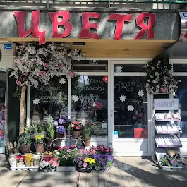 Mагазин за цветя ПАНУБА ЕООД