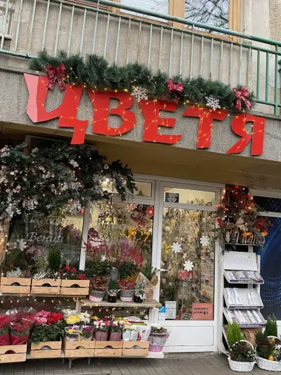 Mагазин за цветя ПАНУБА ЕООД