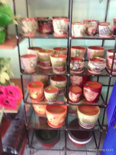 Флора