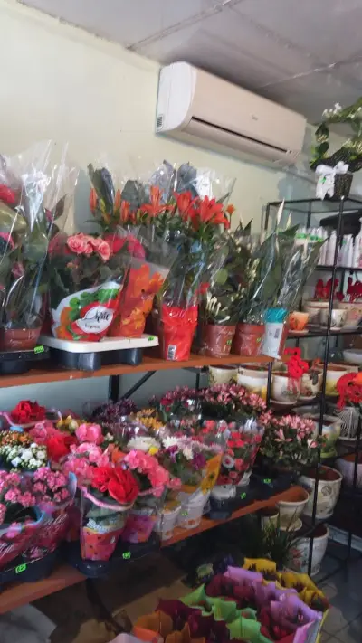Флора