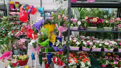 A and G Flora 2013