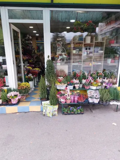Цветя,букети