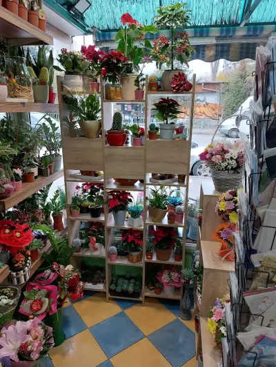 Цветя,букети
