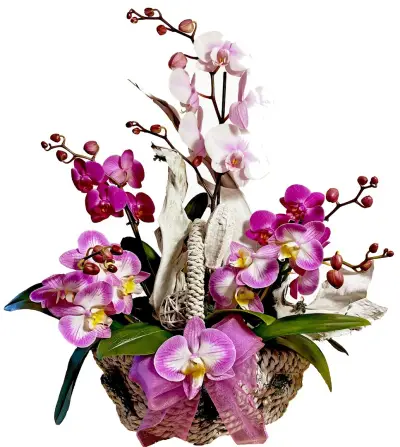MARGARITA FLOWERS