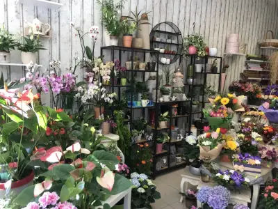 HAPPY FLOWERS