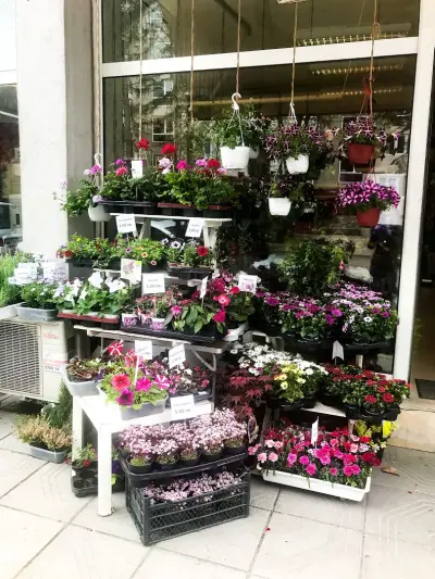 HAPPY FLOWERS