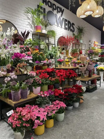 HAPPY FLOWERS