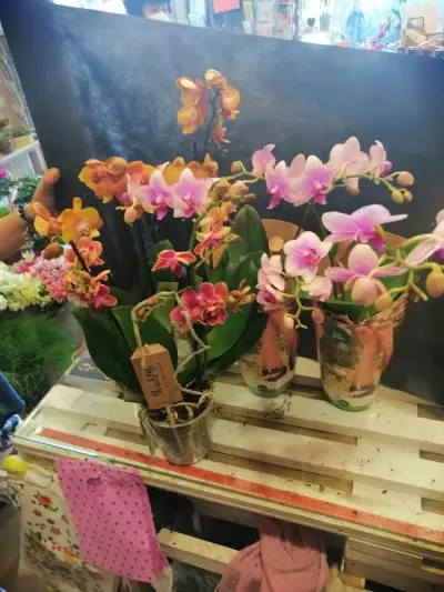 Бутик за цветя "" ФлорАна""