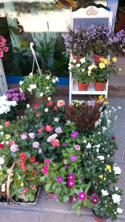 Flora Rose Design