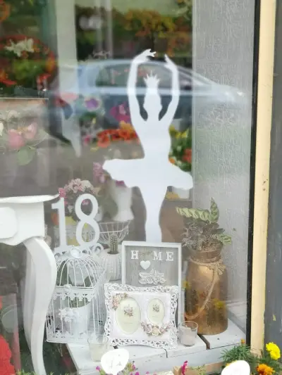 Angel wings flower shop and party agen/Ангелски крила цветарски магазин и парти агенция