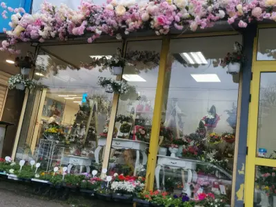 Angel wings flower shop and party agen/Ангелски крила цветарски магазин и парти агенция