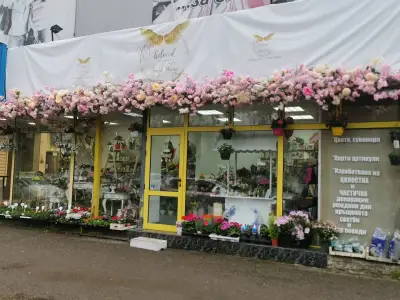 Angel wings flower shop and party agen/Ангелски крила цветарски магазин и парти агенция